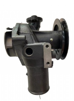 RF8 RE8 Water Pump