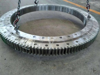 XCMG SLEWING RING