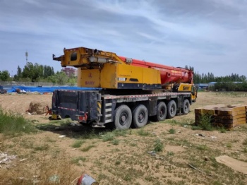 2010 Sany 220ton Truck Crane