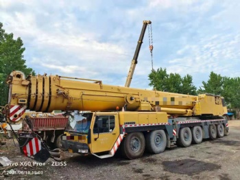 2003 Liebherr LTM1300(300Ton)